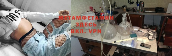 прущие грибы Абдулино