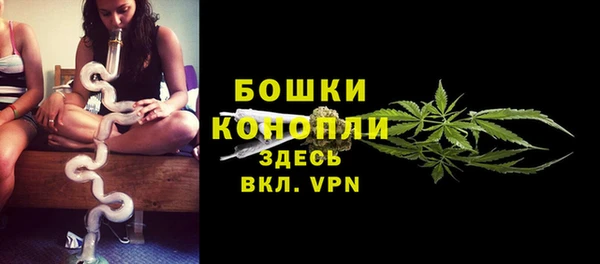 прущие грибы Абдулино